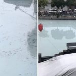 浙江一河段突变“牛奶河” 织带厂胶水原料泄漏所致|有片