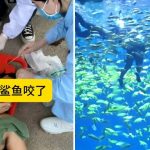 湖南海洋王国“保证安全”潜水活动 男游客遭3米鲨鱼咬至毁容︱有片