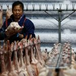 鹅肝︱中国今年料成全球最大生产国 具产能与高性价比 法协会担忧