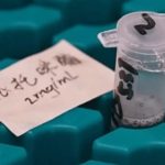国际禁毒日︱“解压快乐水”被揭添加依托咪酯 专家:可致永久脑损伤亡或死亡