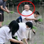 阿里團建︱馬雲帶領管理層下田插秧 網民:AI的未來就是人變得無聊?