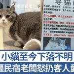 新疆民宿老闆怒扔客人寵物 小貓失蹤20日主人懸賞仍未找回 | 有片