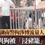 湖南兩女遭「浸豬籠」遊街 警稱博流量拘涉事9人