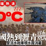 世紀熱浪|高溫東移德國飆至41.7°C熱到瀝青融化 捷克波蘭雙破40°C