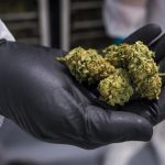 为何他持有66张银行卡?离奇举动意外揪出一桩犯罪网络