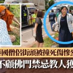 泰國苦行僧隊伍挨撞現場 女護士不顧佛門禁忌做CPR獲激贊