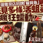 北上注意︱深圳粵菜店簸箕魚冒出多條活蛆 食客吃完才見到超崩潰︱有片