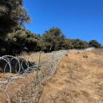 泰山景區築135公里「刀片鐵絲網」被轟煞風景傷動物 官方:將有序拆除