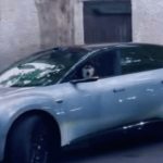 上海惊现泊车神犬? 女主人博出位放狗坐司机位惹祸︱有片