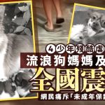 揭阳虐狗 | 少年当街残杀犬母子全国震怒 网民:未成年不应成纵容保护伞