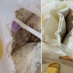 抽纸巾惊现上万活蚂蚁 品牌致歉称仅收一投诉