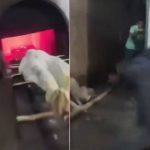 印度30岁男不忍祖母离世 扑入火化炉图殉葬重伤