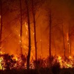 法国山火逾30万人疏散 马克龙:二战后最严峻 趁火打劫男偷44瓶美酒落网