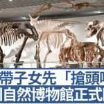 深圳自然博物馆︱家长开幕首日即带子女先睹为快 占地4.2万㎡睇7461件标本真品︱附交通资讯