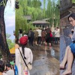 济南趵突泉公园一棵老柳树突折断 致16名游客受伤|有片