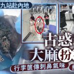 西九龙站|高铁古惑男“大麻扮茶叶” 闯关传刺鼻异味被截|有片