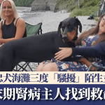 杜宾犬海滩三度“骚扰”陌生女 竟替末期肾病主人找到救命恩人 网民:荷里活电影情节