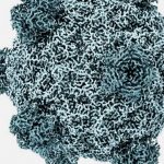 AI设计全新病毒引生物安全疑虑 专家:为监管带来新挑战