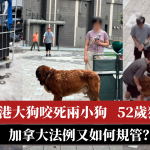 【狗主必知】香港大狗咬死两小狗狗主被控 加拿大法例又如何规管?