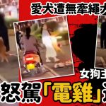 狗咬狗︱宠物犬遭无牵绳大狗咬死 主人怒驾“电鸡”追撞复仇︱有片