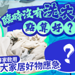 初级大人必学!临时没有洗衣液点算好?专家教用3大家居好物应急 天然除臭去渍首选这款