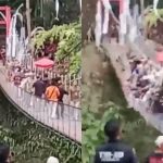 印尼60米新吊桥剪彩 县长率50人试行即塌陷