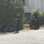 溫哥華東區發生毆鬥案 4男1女被補