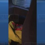 加拿大邮务公司已恢复温哥华东区 因一只乌鸦袭击邮务员而停止的派信服务