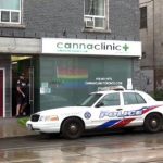 多伦多警方突袭行动中大量大麻和现金被查获
