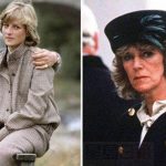 戴安娜指被耍手段伤害查理斯 卡米拉拒绝同情