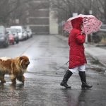 连夜暴雨致大多地区又发洪水警报