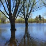 多伦多中心岛继续封闭 经济损失预计高达近500万