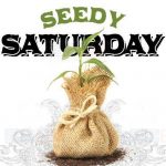 约克区种子交流日 园艺爱好者必去