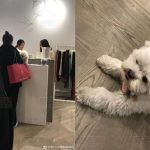 温哥华网友商场偶遇王祖贤