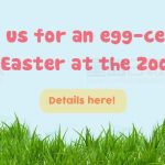 来多伦多动物园和吉祥物合影吧!