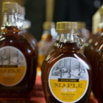 一年一度枫糖节来啦!想知道枫糖是怎么做的吗?