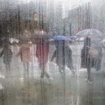 多伦多特殊天气公告:特大暴雨即将到来,超过50毫米!