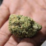 安省允许私营零售商销售大麻,省府负责网上销售