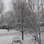 多倫多大雪路面滑濘,成百上千車禍電話打過來