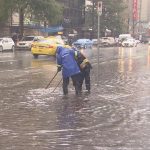 溫哥華一星期雨量 接近過去整個12月的平均水平