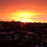 一张图火遍全网 多伦多日出太美了!