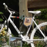 本拿比夺命车祸肇事逃逸 24岁司机被判30个月监禁