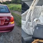 安省女子涉醉酒駕駛 車內有一位可愛乘客!