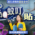 基孔肯雅熱蔓延全球 專家教防蚊叮貼士 如何挑選驅蚊劑?