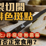 水梨切开有啡色斑点 拆解“木栓化”非腐坏、无农药 可否正常食用?