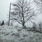 多倫多20厘米雪暴來了 一片白茫茫交通大混亂!更慘的還在後面…