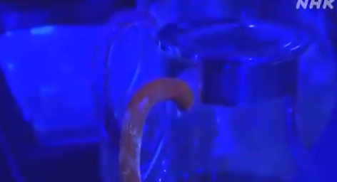 太可怕了! 餐馆里新冠传播速度惊人 半小时全中招! 多伦多刚刚宣布大封路!