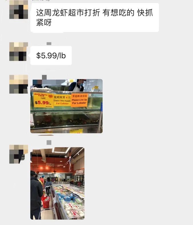 疫情导致龙虾价格大跌！多伦多全城掀起疯狂吃虾热潮，部分超市还要限购！