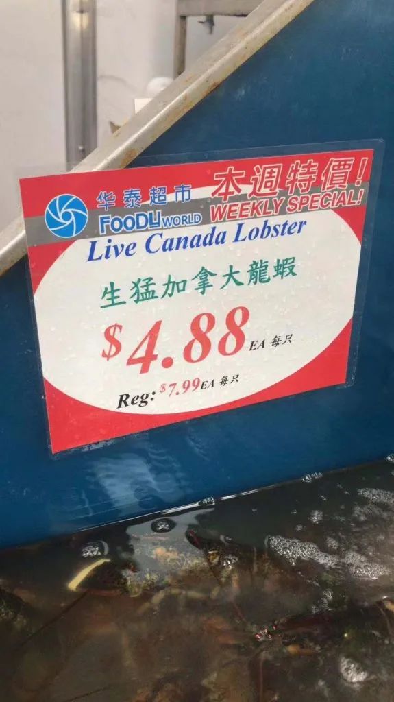 疫情导致龙虾价格大跌！多伦多全城掀起疯狂吃虾热潮，部分超市还要限购！