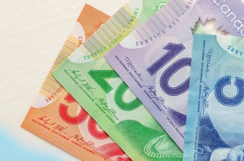 CERB变全民福利? 加拿大人支持统一基本收入3万 富人给穷人发工资...